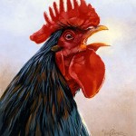 سرانجام خروس ما هم جاسوس اجنبی از آب در آمد
