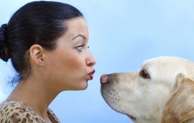 رابطه سگ با انسان، رابطه یک دوست وفادار با یک فرد است. رابطه ای که در آن کینه، بغض، دورویی، و کلک و حقه بازی دیده نمی شود.