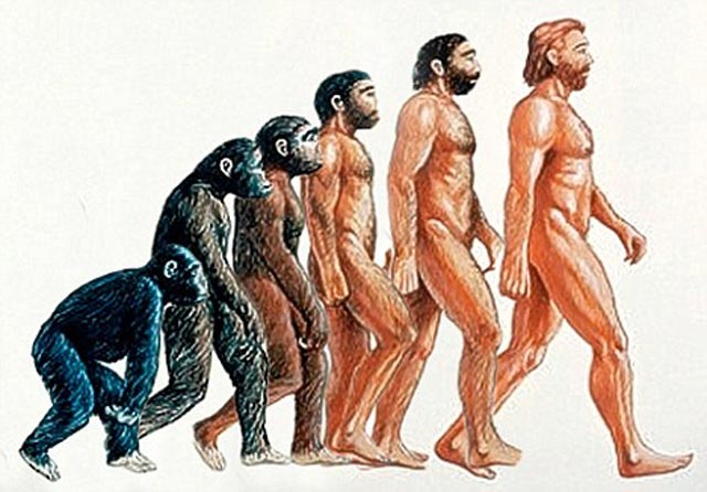 تکامل یا فرگشت که مسیر تغییر تدریجی میمون را در طی قرنها به صورت انسان نشان می دهد. شاید نظریه دکتر مکارتی درست تر باشد که پیوند حاصل از آمیزش شامپانزه و خوک، دارای ویژگی های بیشتری با انسان بوده و انسان اولیه را  پایه گذاری نموده است!.