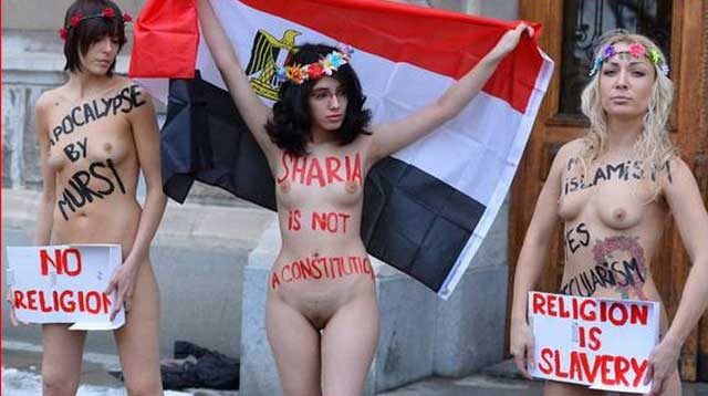 فرتور تظاهرات سال گذشته علیا را به همراه گروه فمن در برابر سفارت مصر در شهر استکهلم و به اعتراض به قوانین اسلامی، نشان می دهد.