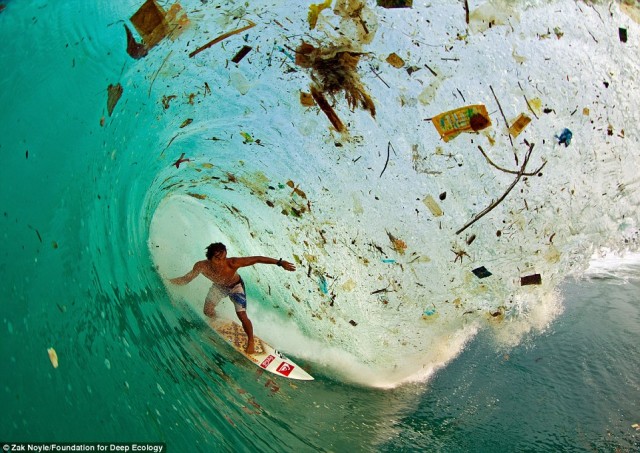 اسکی بر روی آب در جزیره جاوا در اندونزی جایی که هرگونه زباله و مواد اضافی خوراکی به دریا ریخته شده و آن را چنین آلوده می کند.