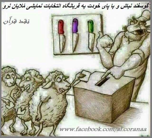 sheep-vote-at-elections-in-iran