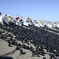 releasing of black balls on top of water resevoir to prevent water evapouration